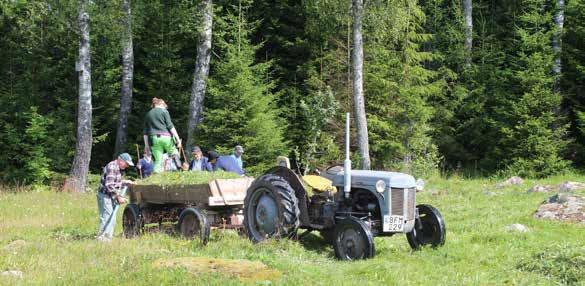 Grimmestorp Spännande grusformationer och artrik miljö Lördag den 28 juli 09.00-13.