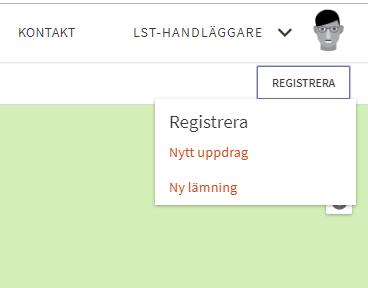 Överst i formuläret finns två textfält där du kan skriva in en förtydligande kommentar, samt länsstyrelsens diarienummer för fastställandet av fornlämningsområdet.