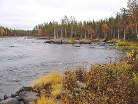 Myrheden En 200 meter lång träsatt stenkista på södra sidan älven har rivits ut.