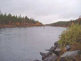 Ett djupare parti har med detta åter strömsatts och en hölja lämplig för vuxen fisk skapades.