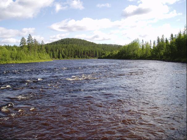 En sedan tidigare känd hölja (Hjälmgrubban) har rensats upp och åter strömsatts då stenkistan nu är borta.