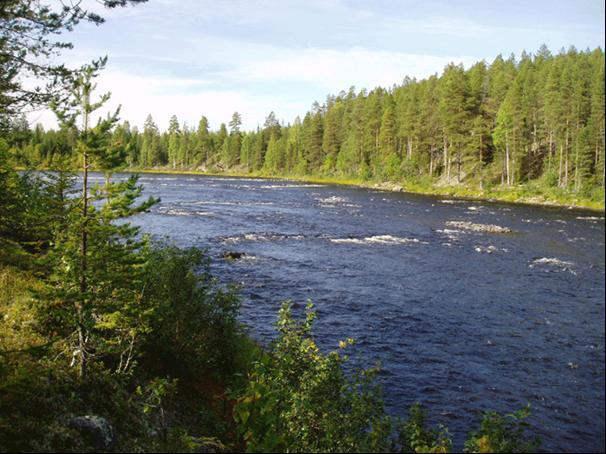 Åtgärd 26 före och efter restaurering Åtgärd 27 En mindre stenkista på norra