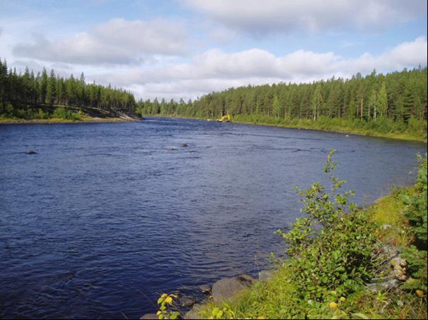 Genom trösklarna saktas även vattnet in en aning samtidigt som vattendjupet i området höjs.