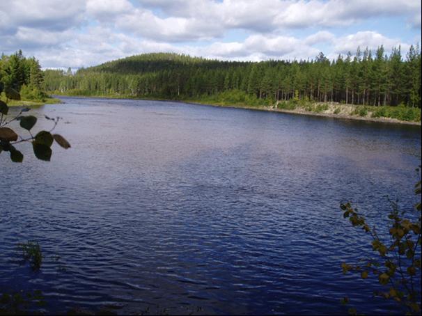 finns. På södra delen av älven förstärktes uppväxtområdet med stengrupperingar.