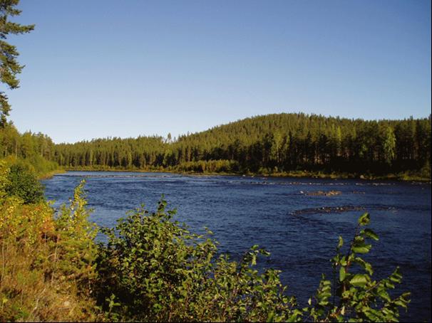 Blankselet 1 En 250 meter lång stenkista på södra sidan älven har plockats isär.