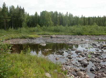 Åtgärd 32. Blankselet 4 En 160 meter lång stenkista på södra sidan älven har plockats isär.