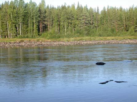 På norra sidan har djupet varierats kraftigt vilket gjorts med några trösklar.