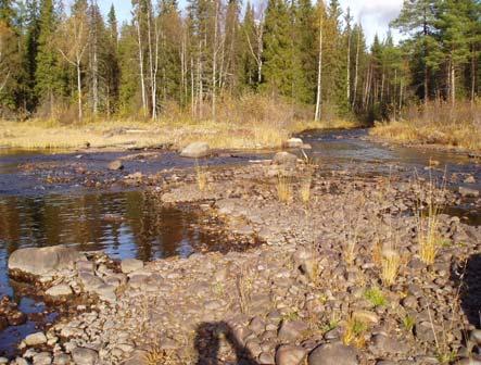 Åtgärd 33 före och efter restaurering Åtgärd 34 Storstrand forsen Lösa större block och sten har lagts ut längst hela sträckan från södra sidan nacken i Strandfors och därefter på norra sidan efter