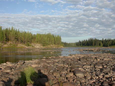 Material från brytaren av sämre kvalité har lagts ut som en förstärkning av södra älvbrinken. Uppströms Lappkåtaholmen på södra sidan älven har en stenkista plockats isär.