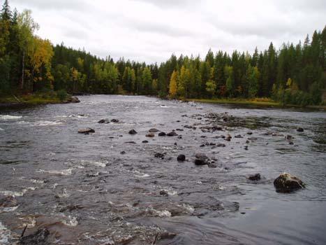 150 meter nedströms ön.