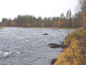 Älven pressades tidigare ihop av denna, men har nu fått återta sitt naturliga lopp och