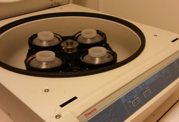Därefter neutraliserades blandningen med 12 M HCl tills ph 7 uppnåtts (~75ml / liter NaOH) och centrifugerades vid 4300 rpm i 15 min.