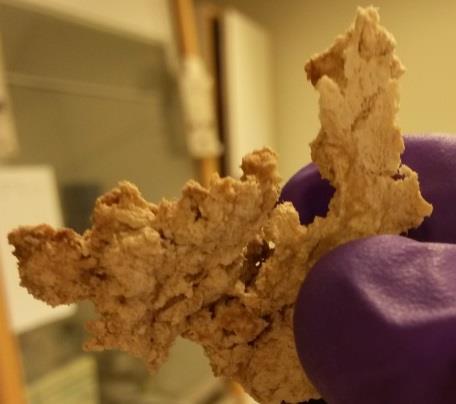 5 Resultat Följande avsnitt presenterar: mängder extraherad Cellulosa, Stärkelse, Hemicellulosa och Klason lignin från samtliga råvaror/metoder; iakttagelser av extraherat material samt resultat från