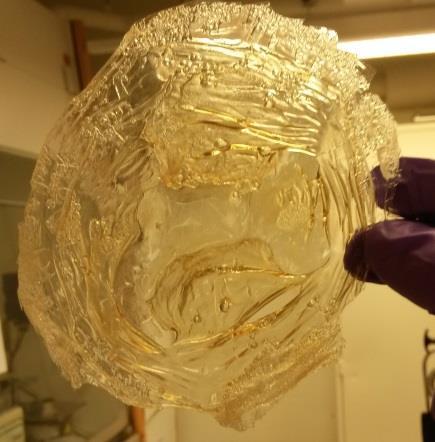 Ugnstorkad Hemicellulosa ur respektive råvara från trestegsextraktionen, är visuellt lika: ljusa, transparenta, styva, plastliknande material som bryts
