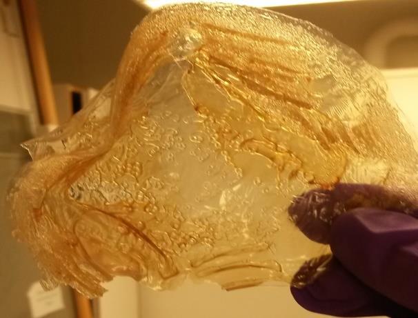 Figur 18: Hemicellulosa från Vete Den lufttorkade Hemicellulosan (figur 20) från extraktionsmetoden med det joniska lösningsmedlet är ett brunt pulver.