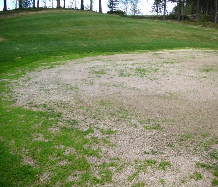 Orsaker till Temperaturstress För höga temperatur För låga temperaturer
