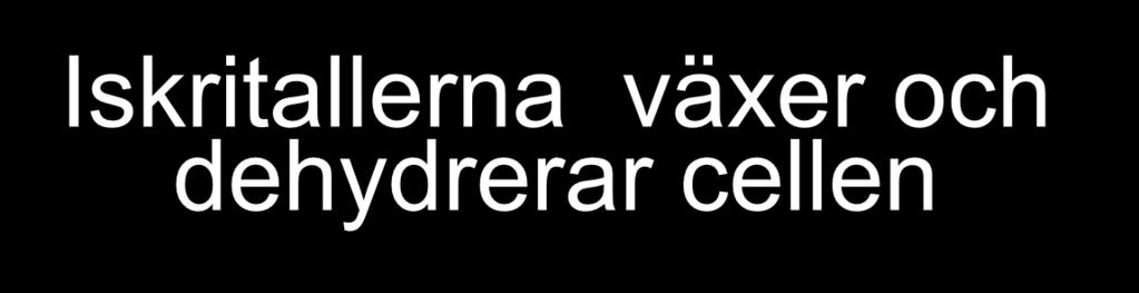 Iskritallerna växer