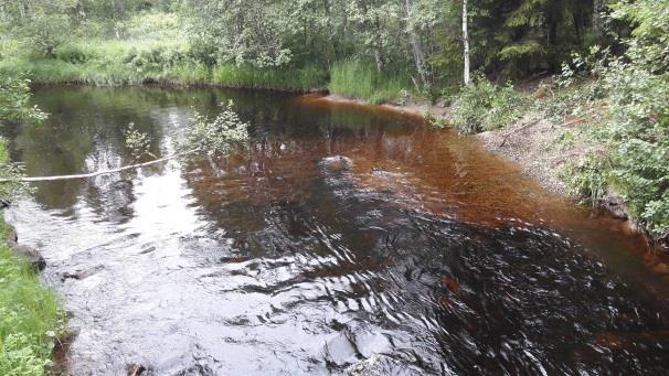 Till vänster: Lekgrusutlägg med traktor på lokalen i Storliden. Till höger: Foto på nacken uppströms vägbron efter lekgrusutläggningen. Lekgruset syns som ljusare partier av botten.