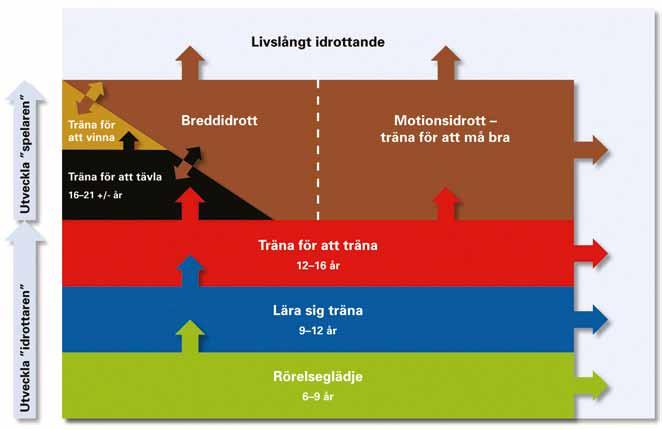 S V E N S K I N N E B A N D Y V I L L Svensk Innebandys Utvecklingsmodell (SIU) Svensk Innebandys Utvecklingsmodell är vår långsiktiga modell för idrottsutövande med träning, tävling och återhämtning.