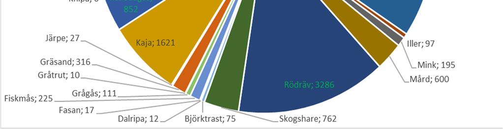 De arter som fälls i störst omfattning är kråkfågel, ringduva, kanadagås, orre och tjäder.