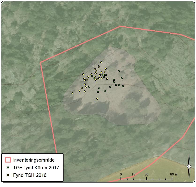 Figur 7. Kartan visar fynden från inventeringarna från 2017 i grönt och från 2016 i gult.