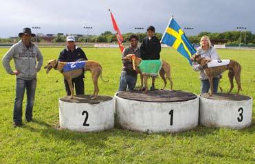 Senaste dagen för anmälan till banketten, först till kvarn begränsat med platser. Mixed 550 m. Fr. v. tvåan Westmead Ace, Gerhard Müller, Tyskland, 32.