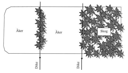 NILS flygbildstolkningsmanual 26 Figur 9. Schematisk figur som visar beräkning för täckningsgrad vid trädfattig yta. Hälften av trädradens täckningsgrad räknas till vardera ytan.