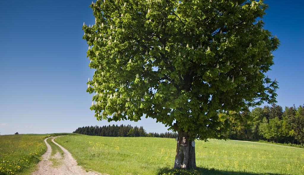 Foto: Colourbox av utvärdering av Malmö stads stödmaterial: Förebyggande arbete och åtgärdande insatser gällande misstanke om sexuella trakasserier PMSammanfattning