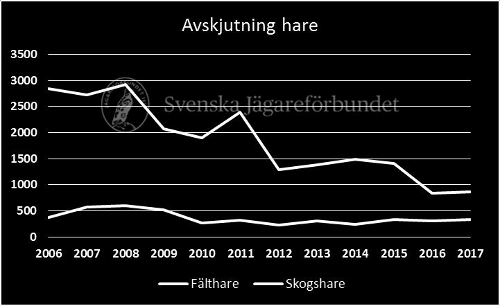 Fortfarande är majoriteten av de harar som