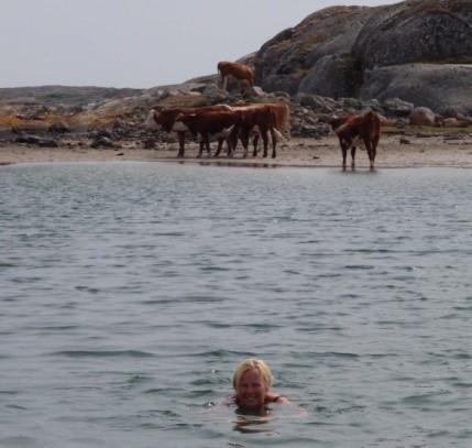 Vi bestämde oss för att ta oss till Hermanö huvud, den höga klippan mot västerhavet. Det är grunt i vikarna på vägen dit, så gummibåten blev ett bra alternativ.