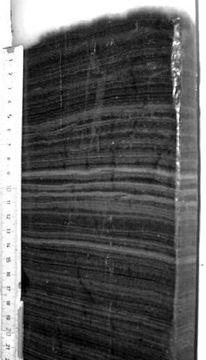 17 information om sjön hänvisas till denna hemsida samt till Söderbäck (1997). RESULTAT Sedimentprovtagning, sediment och glödförlust Två frysproppar och en serie proppar med ryska torvborren togs.