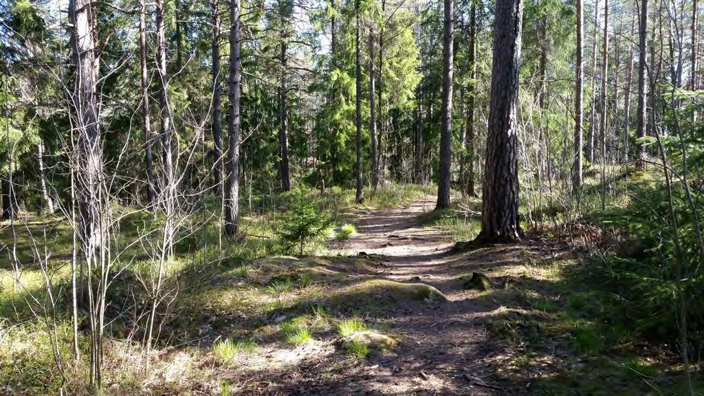 Utredning till detaljplan Tumba skog, Botkyrka Översiktlig PM - Masshantering och Stockholm 2015-05-06_rev 2015-11-23 2015-04-21 Beställare: Rödstu Hage Projekt AB