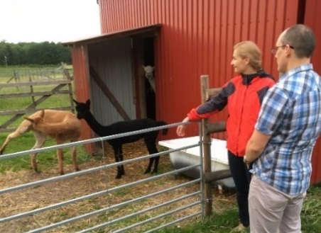 asfaltita por biciklistoj kaj piedirantoj kaj ĉevaloj (por