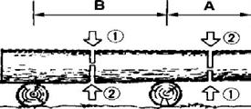 A trunk lying on the ground A trunk suspended above the ground Branch of a felled tree: Check first on which side the branch is