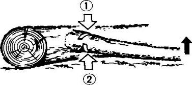 Maintenance Air filter: Dust on the filter surface can be removed by tapping a corner of the filter on a hard surface.