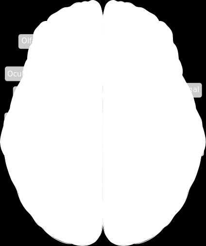 IV (trochlearis) och N.