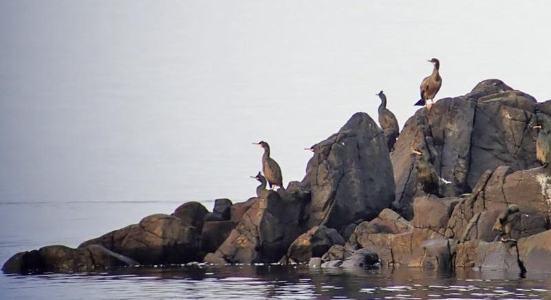 andra sidan brottet. Vi sågs vid Flyinge kungsgård.