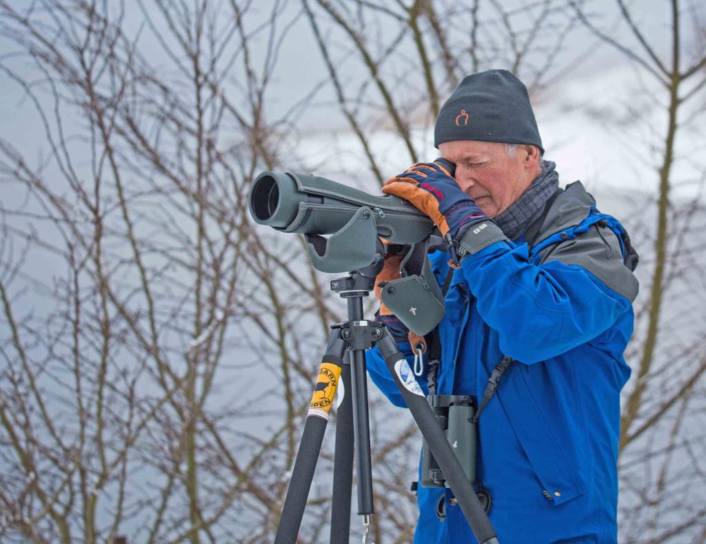 På väg från ängarna spatserade en vit stork invid vägkanten och framme vid väg 11 kunde