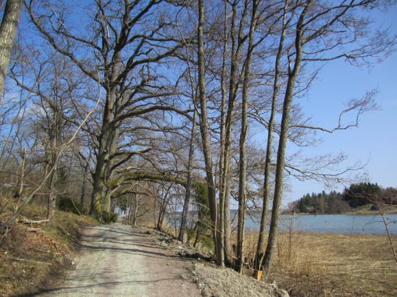 samband med Europeiska trafikantveckan där man fick veta mer om elfordon och laddstationer och prova på elcyklar.