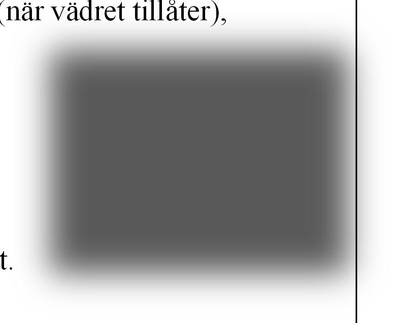 STROKEPUTTARNA Det finns inga gränser. Gör som jag, finn glädjen hos strokeputtarna.