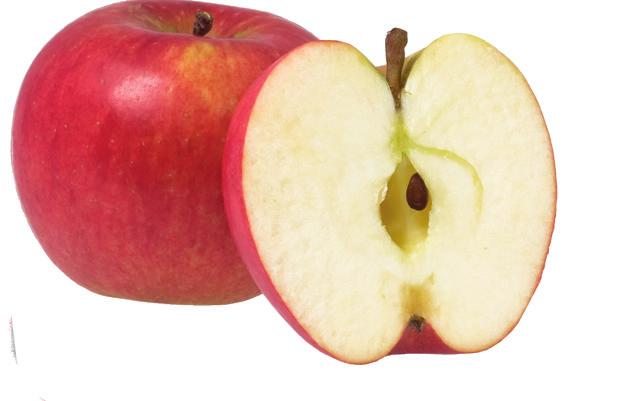 FRIDA är ett helt nytt äpple! Det är en korsning mellan det populära Aroma och ett amerikanskt urval med beteckningen PRI 1858/202. Äpplet är fast, krispigt, syrligt och med mycket smak.