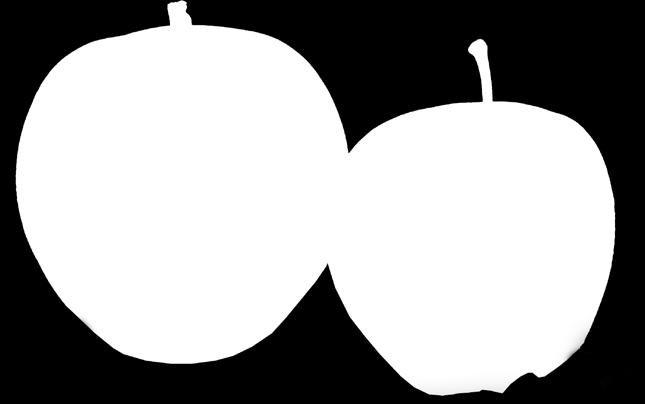 Äpplet är en korsning mellan Idared och Elstar. Skalets färg går i olika toner av mörkrött på en gul botten.