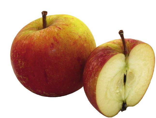 Äpplet utvecklades i en tid när kriterier för ett äpple främst var dess egenskaper i sallader, pajer och bakning.