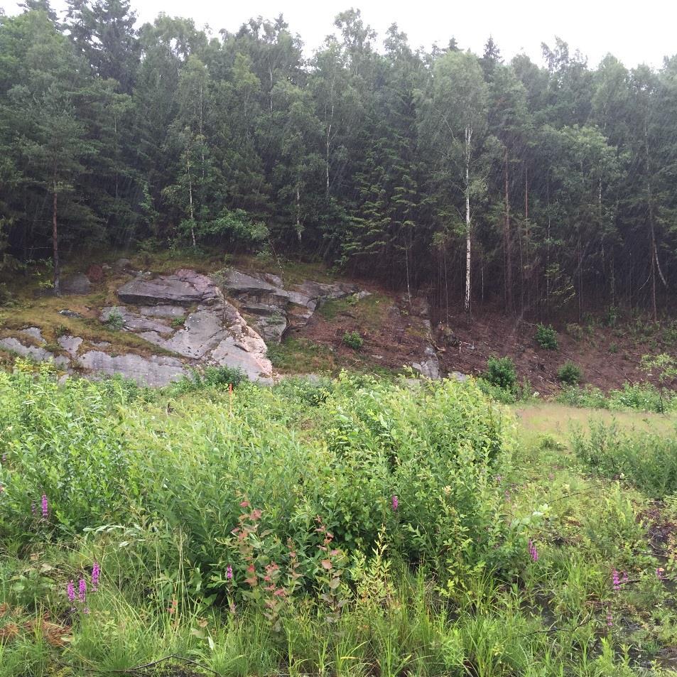 Översiktsfoto 2 - Södra delen av bergslänten. Pegmatitgången syns i mitten av bilden.