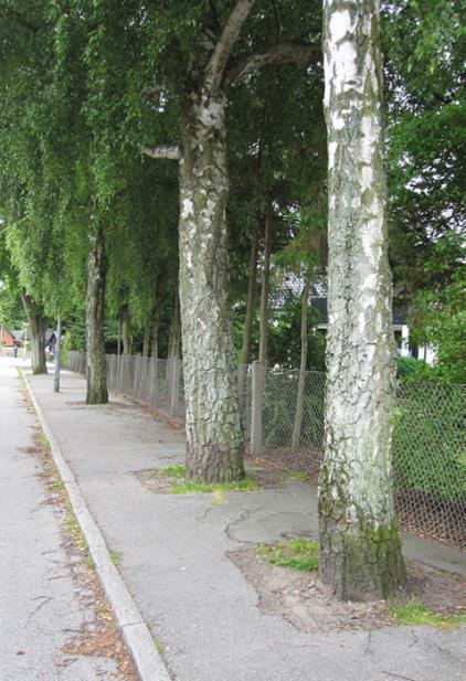 Vilken bredd som behövs på gångbanorna är främst beroende på antal fotgängare.