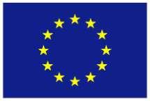 ANNEX II 111-2008-51965 EUROPEISKA FLYKTINGFONDEN