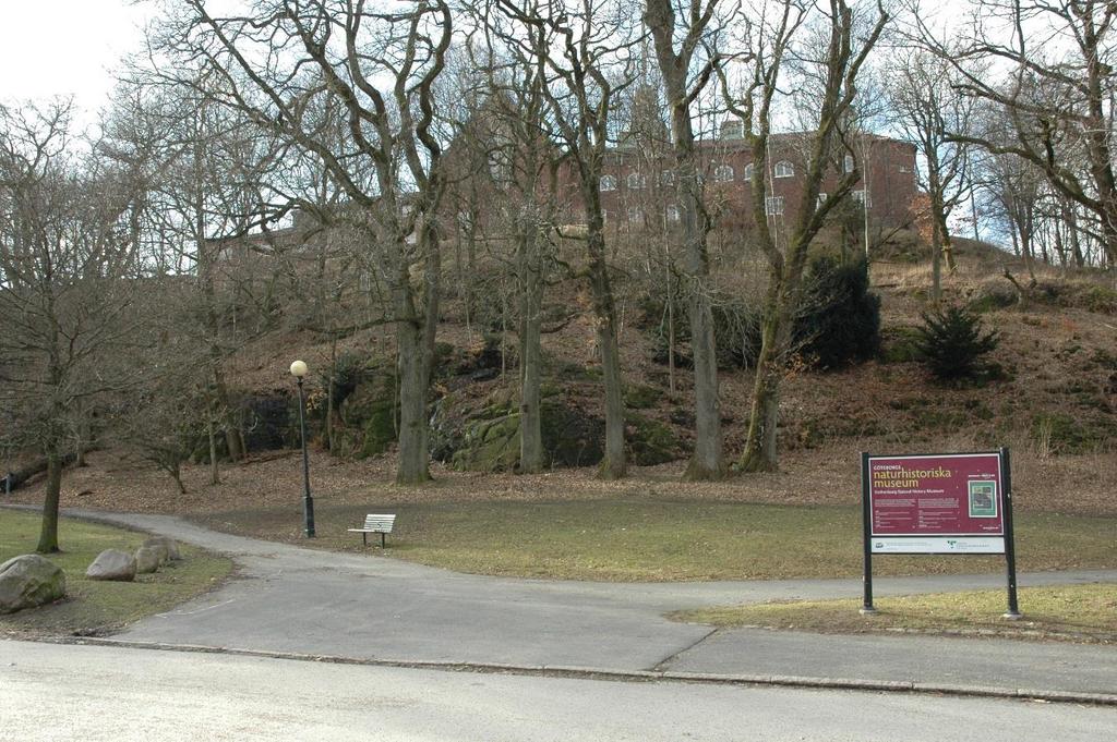 Hur hittar jag till Göteborgs Naturhistoriska museum? Linnéplatsen är museets närmsta hållplats. Står du på Linnéplatsen och går mot Slottsskogen kan du skymta museet på en kulle bakom många träd.