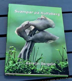 Här beskrivs också de 86 svampar, som är rödlistade. Några arter är nya för vetenskapen och en del har tidigare inte varit kända för Sverige eller Skåne.