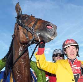 läser du programmet 9 Dags spelformer 9 V-tips 0 Lopp Start för V- Tips oh hansvärdering till V Lunhtrav fredag 9 Tips till nhtravet Statistik för deltagande kuskar FEDAG Kval FEDAG