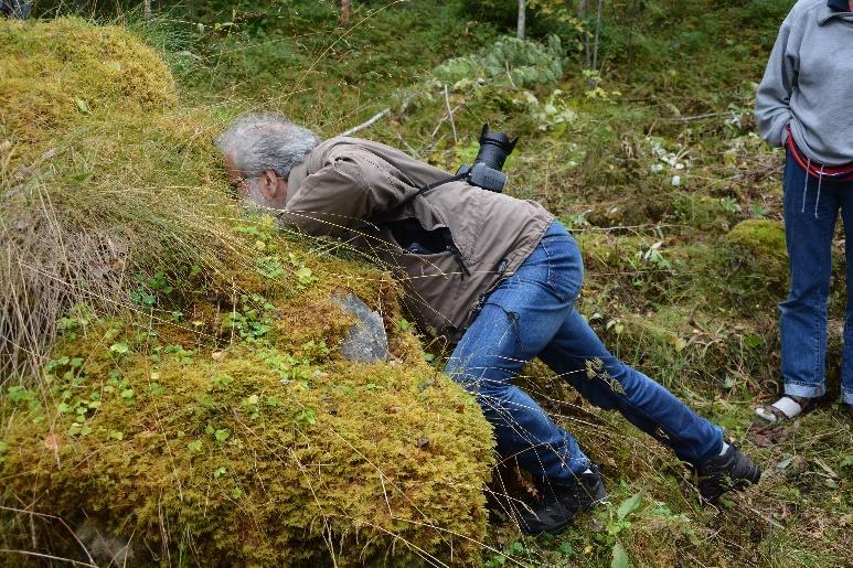 Norrgårdens vackra träskylt i Kölsjön Birger Nesholen skådar in i